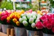 Интернет магазин продажи цветов из категории  фото-1