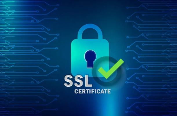 Модуль #14 Установка SSL сертификата из категории  фото-1